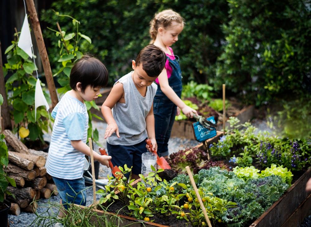Group of kids gardening outdoors