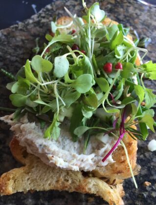 Micro greens over a fish spread ontoast, at Ceraldi restaurant, Wellfleet, MA