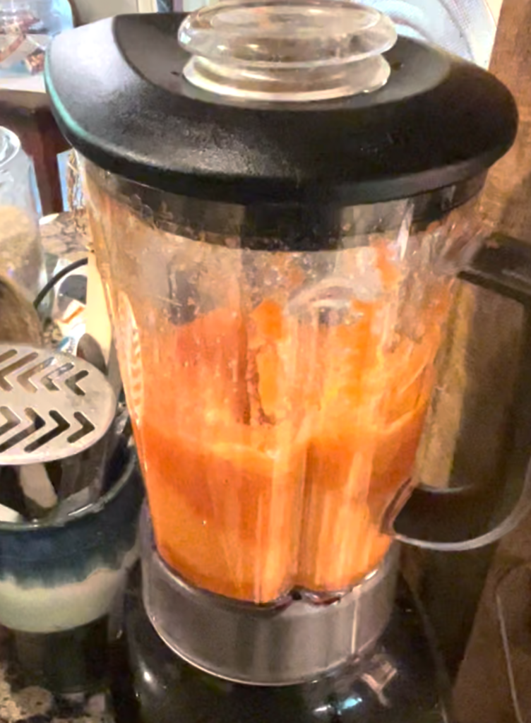 Blender with carrots