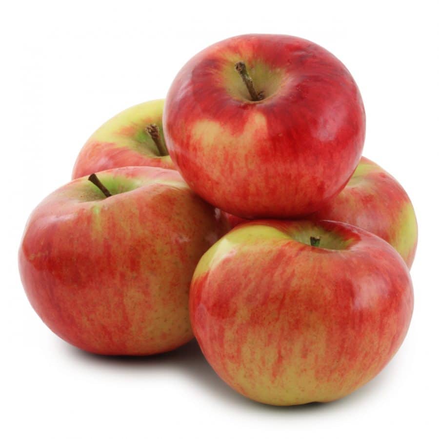 Grammy's Apple Chutney Recipe Cortland Apples