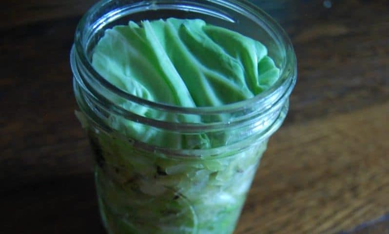 Make Sauerkraut At Home A Healthy Probiotic Treat   Fresh Homemade Sauerkraut 