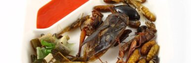 A plate of spicy herb fried insect wings with sauce.