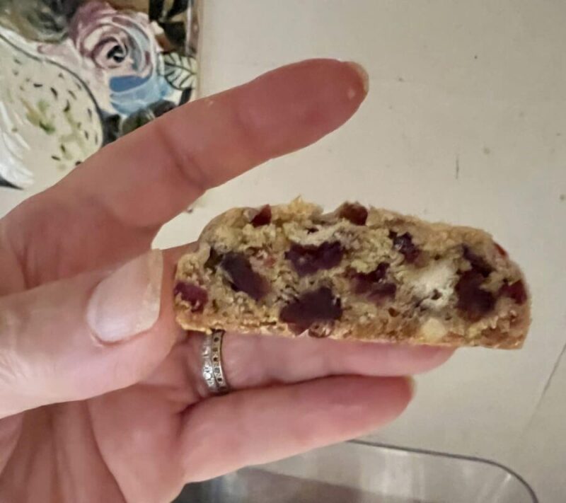Hand holding a cranberry white chocolate cookie, revealing its inner texture.