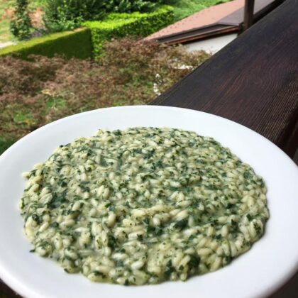 Fresh Nettle Risotto