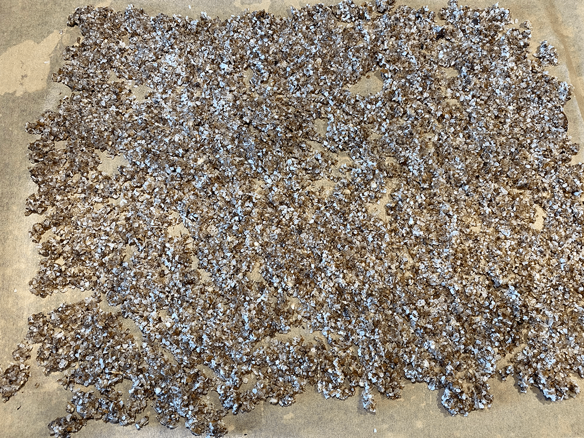 mushrooms on parchment