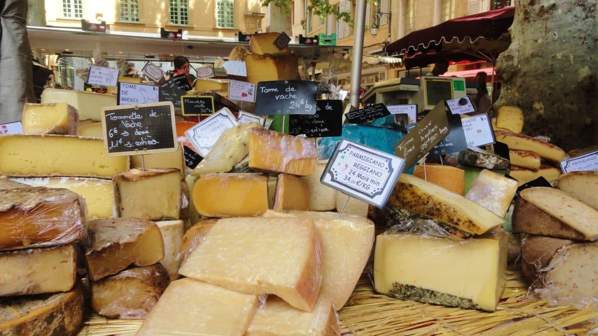 Cheese for sale at the outdoor market