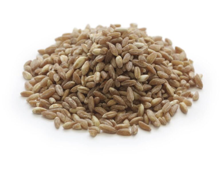 The Appeal of Ancient Wheat: Uncover the Magic of Spelt, Kamut, Einkorn ...