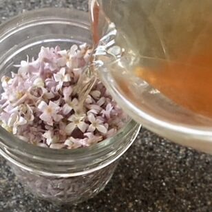 Pouring clear liquid over fresh lilac blooms in a mason jar.