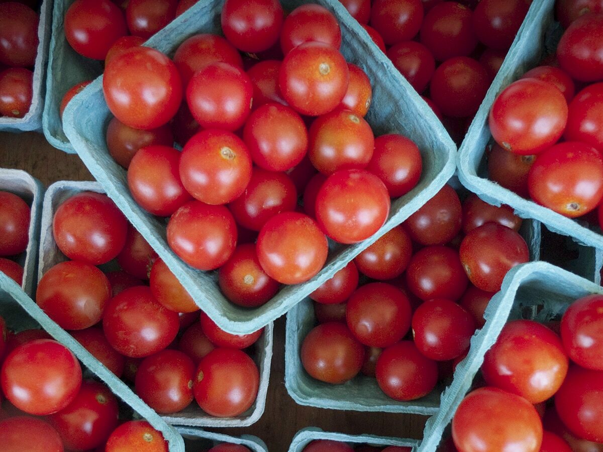 Baskets of cherry tomatoes